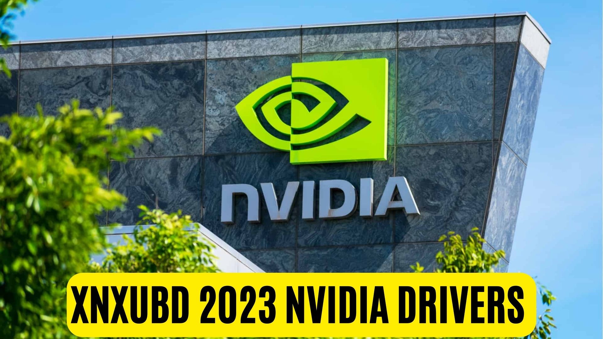 Xnxubd 2023 Nvidia Drivers - Impact Of Outdated Nvidia Drivers
